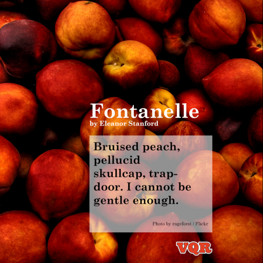 Fontanelle by Eleanor Stanford