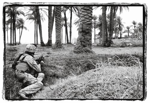 Soldier Crouching in Grasses