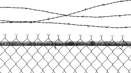Barbed-Wire Fence