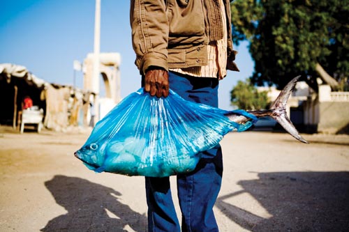 A man clad in loose-fitting blue jeans, an untucked button-down shirt and a brown jacket holds an oversized fish in an undersized plastic shopping bag.