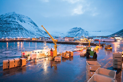 At the dock in Bolungarvik, cranes offload empty fishing lines then boxes of fish for weighing.