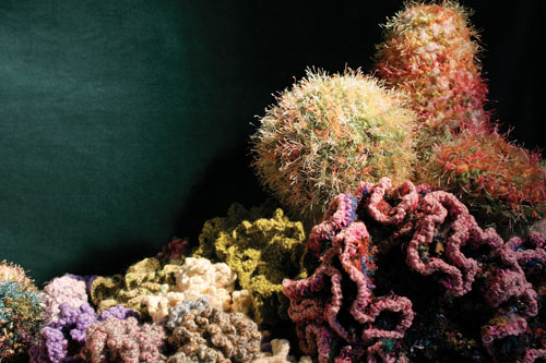 Crochet coral and anemone garden with urchins by Christine Wertheim and sea slug by Marianne Midelburg.