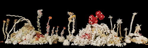 The Bleached Bone Reef features works by some of the project's most technically skilled crafters, including beaded sea creatures by Nadia Stevens, Jill Schreier, Pamela Styles, and Vonda N. McIntyre.