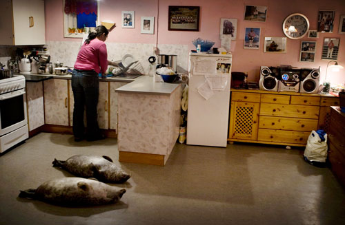 Hansigne Thomassen working in her kitchen in Greenland.  Two seals lay on the floor awaiting preparation.