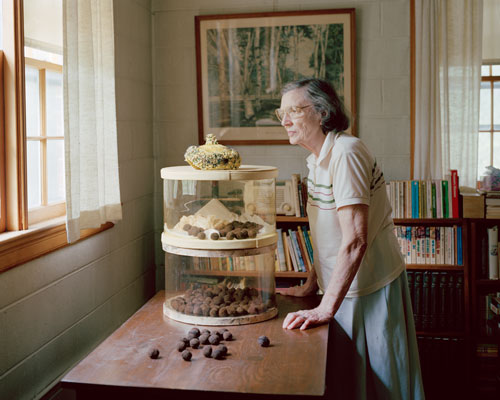 The author's neighbor, Mrs. Daniel, looking out her window.  A container of black walnuts sits on the table before her.