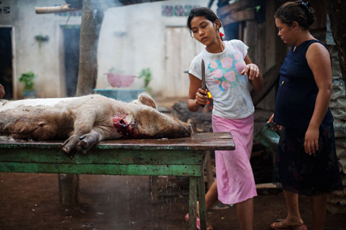 Tanya Martinez Toval, fourteen, and her sister Sulema, twenty-five, butcher a pig to sell in their community.
