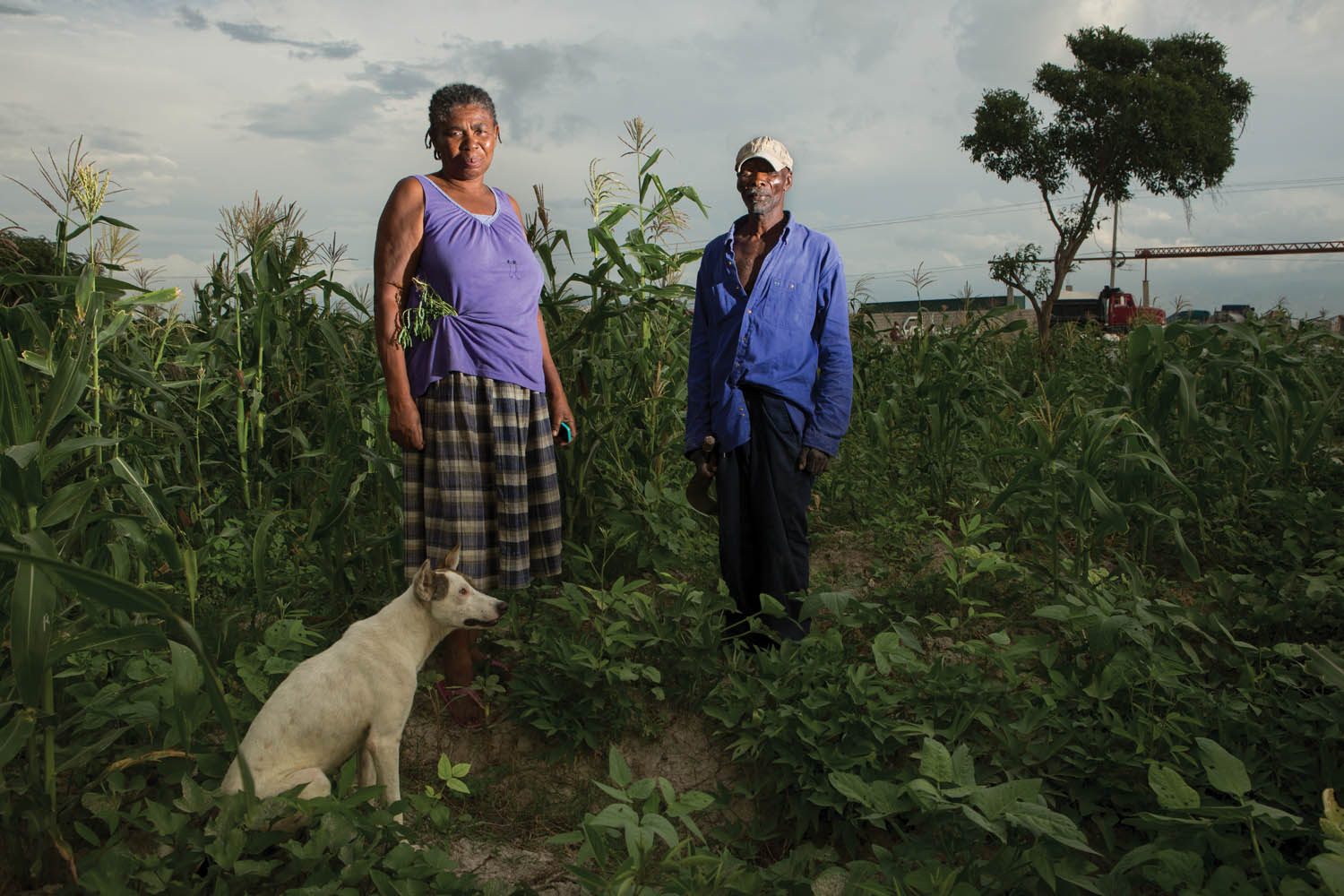 Jean Leon and her husband, Michelet Alexandre, in their field near Corail. They arrived in 1996, when there were only three families in the area. Now their property, where they grow crops and raise cattle, is surrounded by a fast-developing neighborhood. “We came from the countryside to find life, and we certainly found life,” says Leon. Photo by Allison Shelley