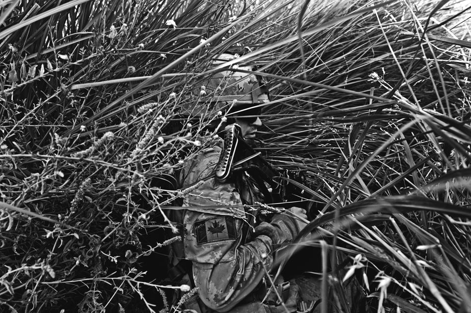 Canadian Corporal Sheldon Crawford takes cover in tall grass in a ditch while taking fire from insurgents near the Pashmul area. The numerous ditches and lush vegetation of Zhari District make the area ideal for guerilla warfare.