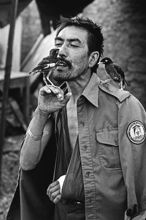 An Afghan National Police officer who was injured by gunfire sings to birds at an outpost on the front lines in Pashmul.