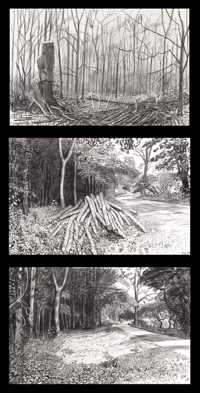 Three of Hockney’s five charcoal-on-paper sketches of his felled hero. Top: Untitled III(2009), 26 x 40". Middle: Cut Trees-Timber (2008), 26 x 40.25". Bottom: Timber Gone (2008), 26 x 40.25". (Richard Schmidt)