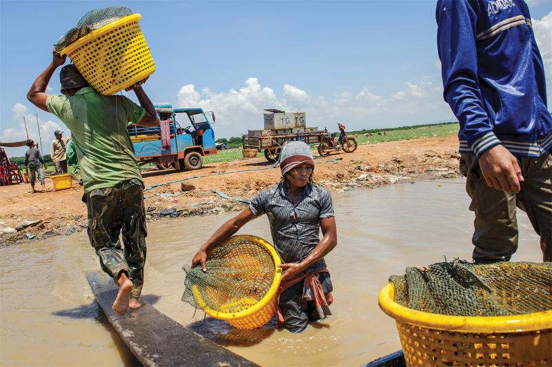 Fishermen in Kampong Luong haul fish to vehicles headed to nearby markets. (Luc Forsyth/Ruom) 