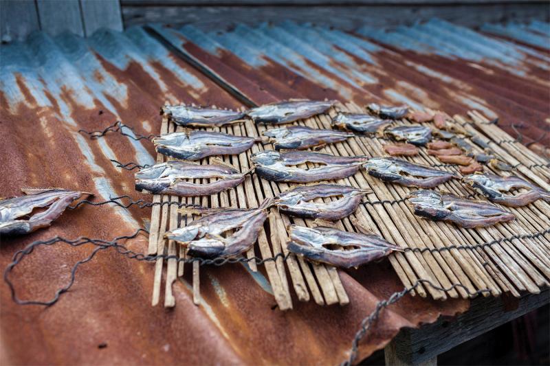  Fish drying on a rooftop in Pat Sonday village, Kampong Chhnang. (Thomas Cristofoletti/Ruom)