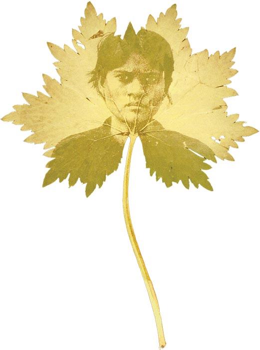Binh Danh, <i>Found Portrait #18</i>. Photographic negative on leaf.