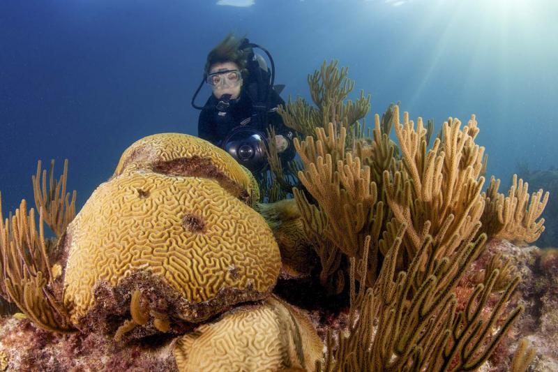 Dr. Earle observing a coral reef in Bermuda in 2010. (Bryce Groark)