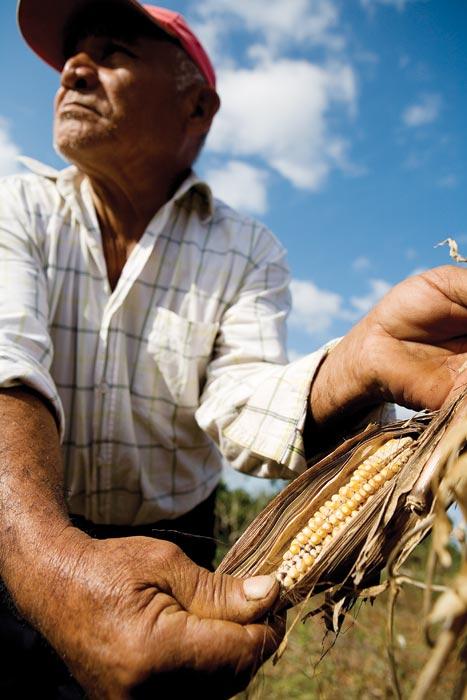 Celso shows one of his ears of corn stunted by overused soil and lack of rain.