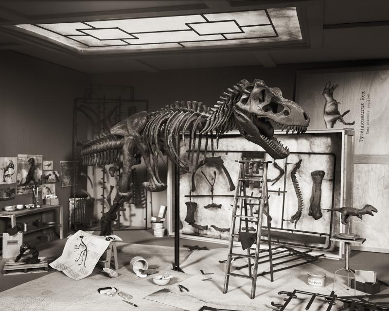 T-Rex by Lori Nix