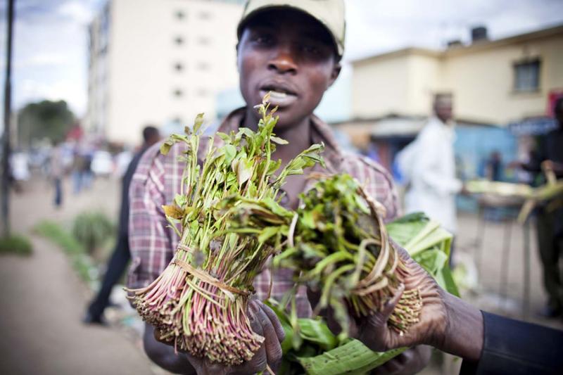 So many Somalis, like this khat dealer, have moved to Eastleigh it has been nicknamed Little Mogadishu.