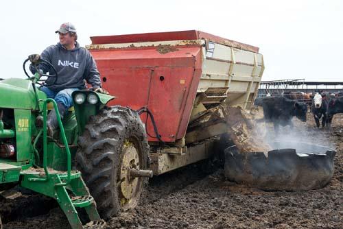 Jim Tarnick feeds his cattle corn silage and distiller’s grain on his farm in Fullerton, Nebraska.