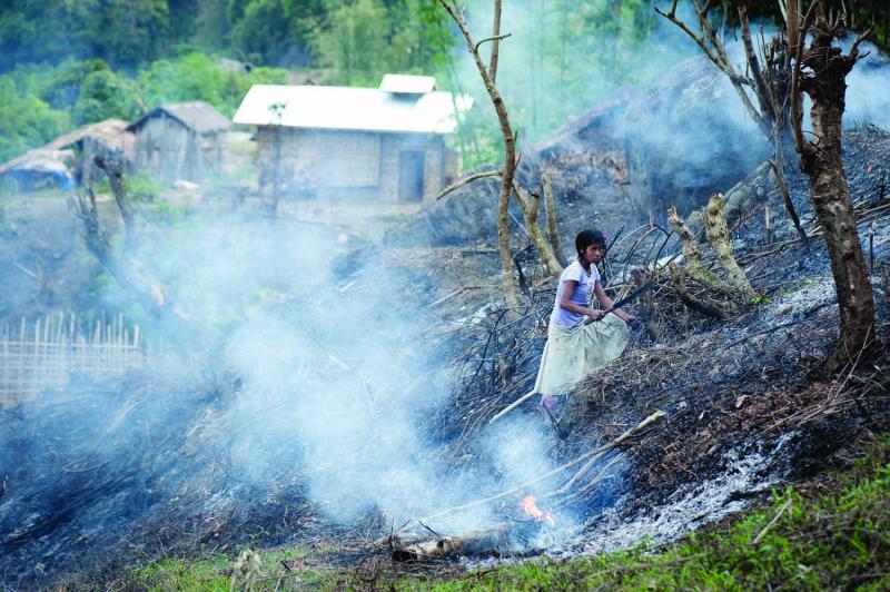 A young girl chops down charred stumps in a recently burned field with a long steel knife called a dao, the same kind of knife the headhunters used to chop off enemy heads. 