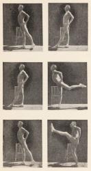 J.P. Müller, photographs from My System, 1904.