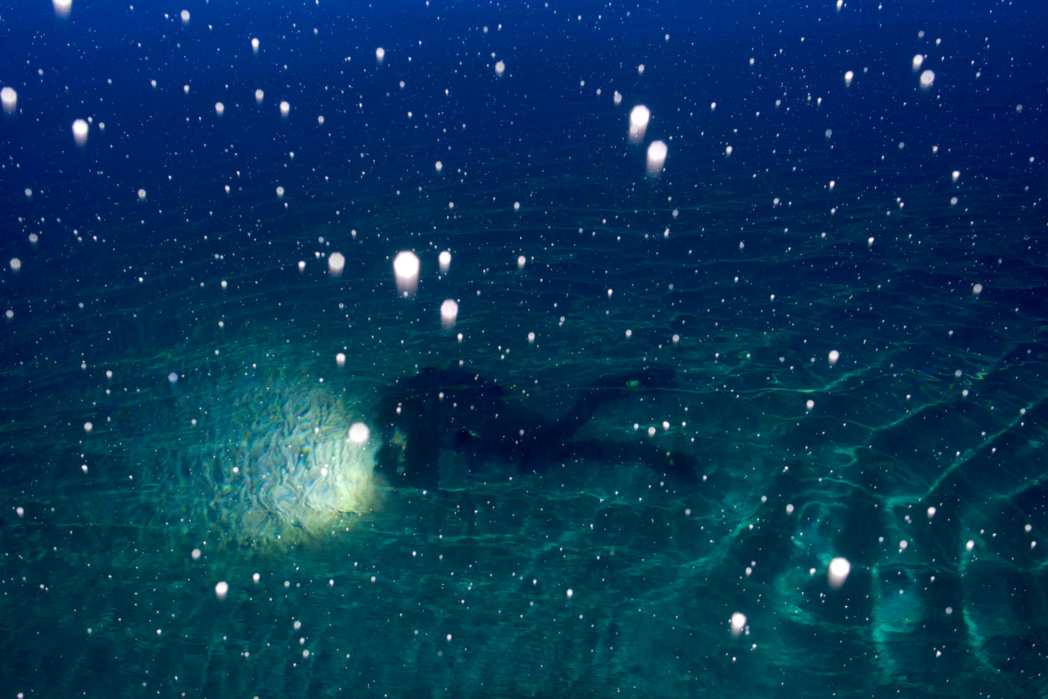 Snowflakes fall on the surface of the water as a Norwegian military explosives-ordnance-disposal diver learns to locate World War II–era munitions. Narvik, Norway, February, 2020.