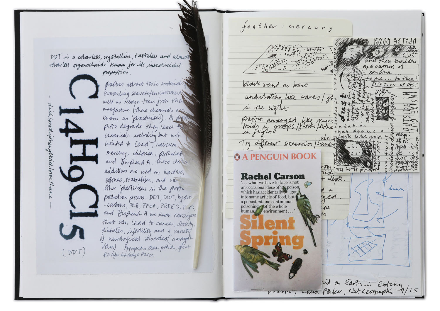 Notebook page including a feather.
