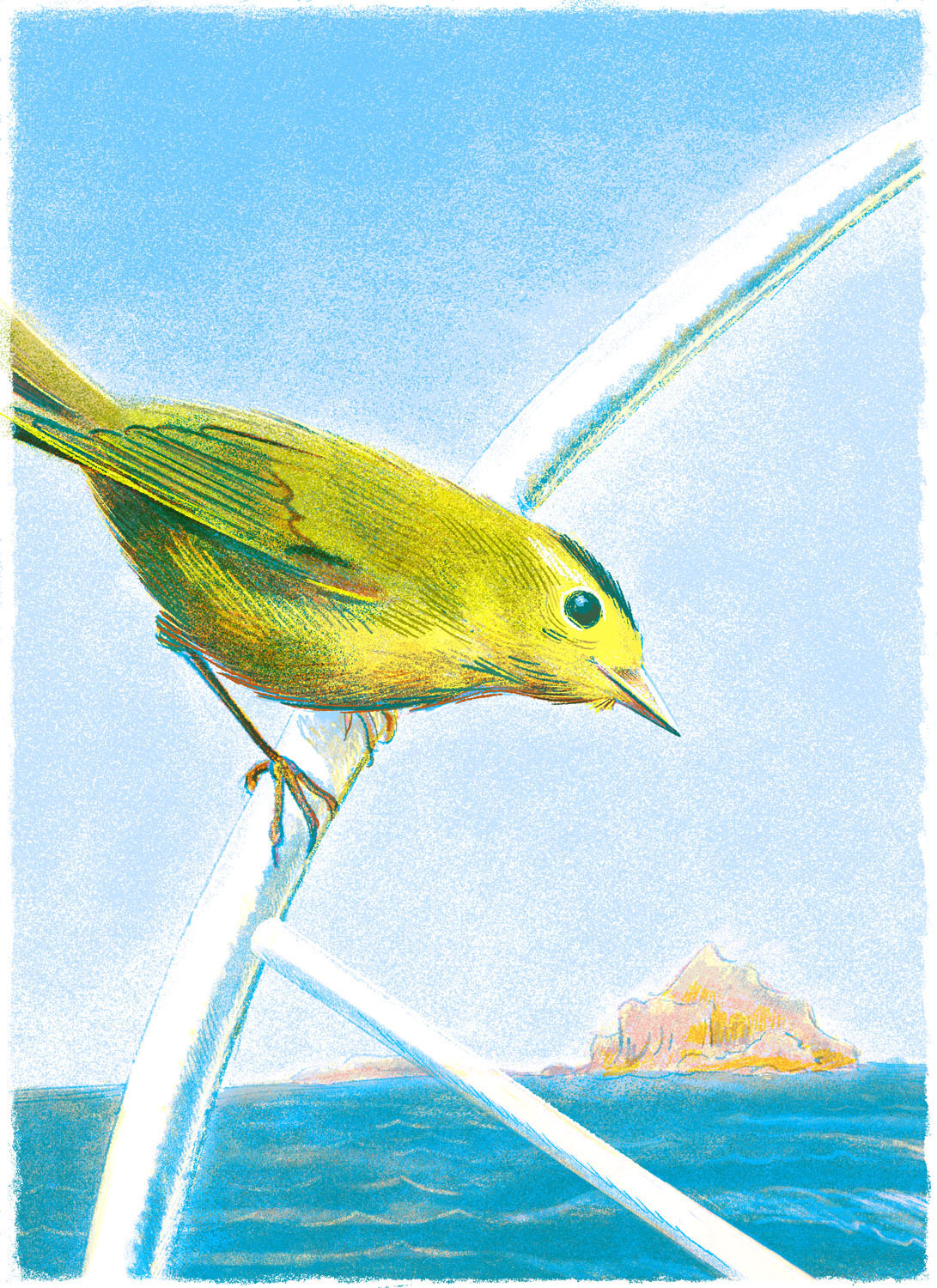 Illustration by Wesley Allsbrook