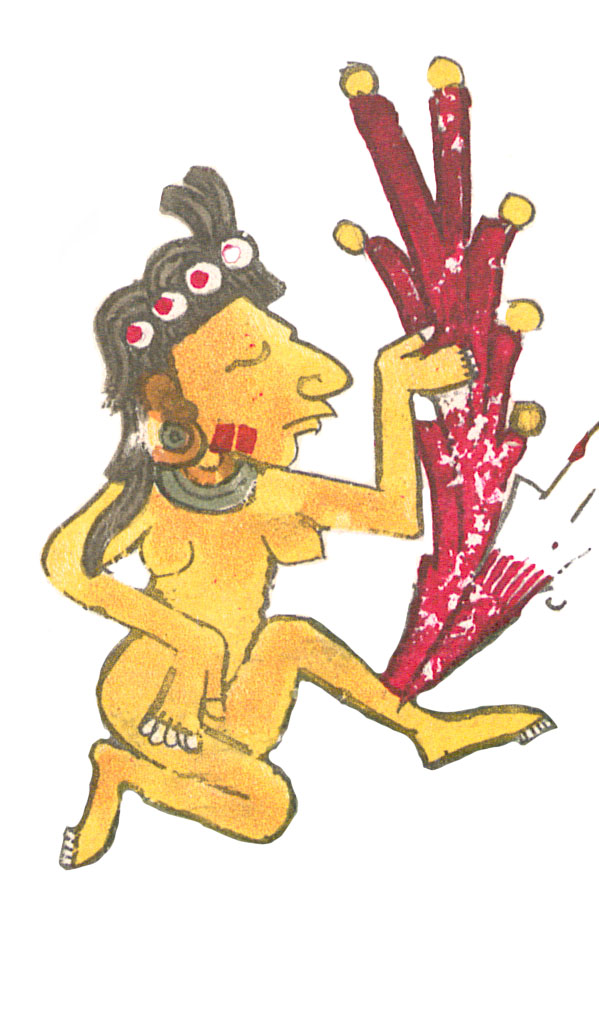 Image of Mesoamerican water goddess from Codex Borgia.