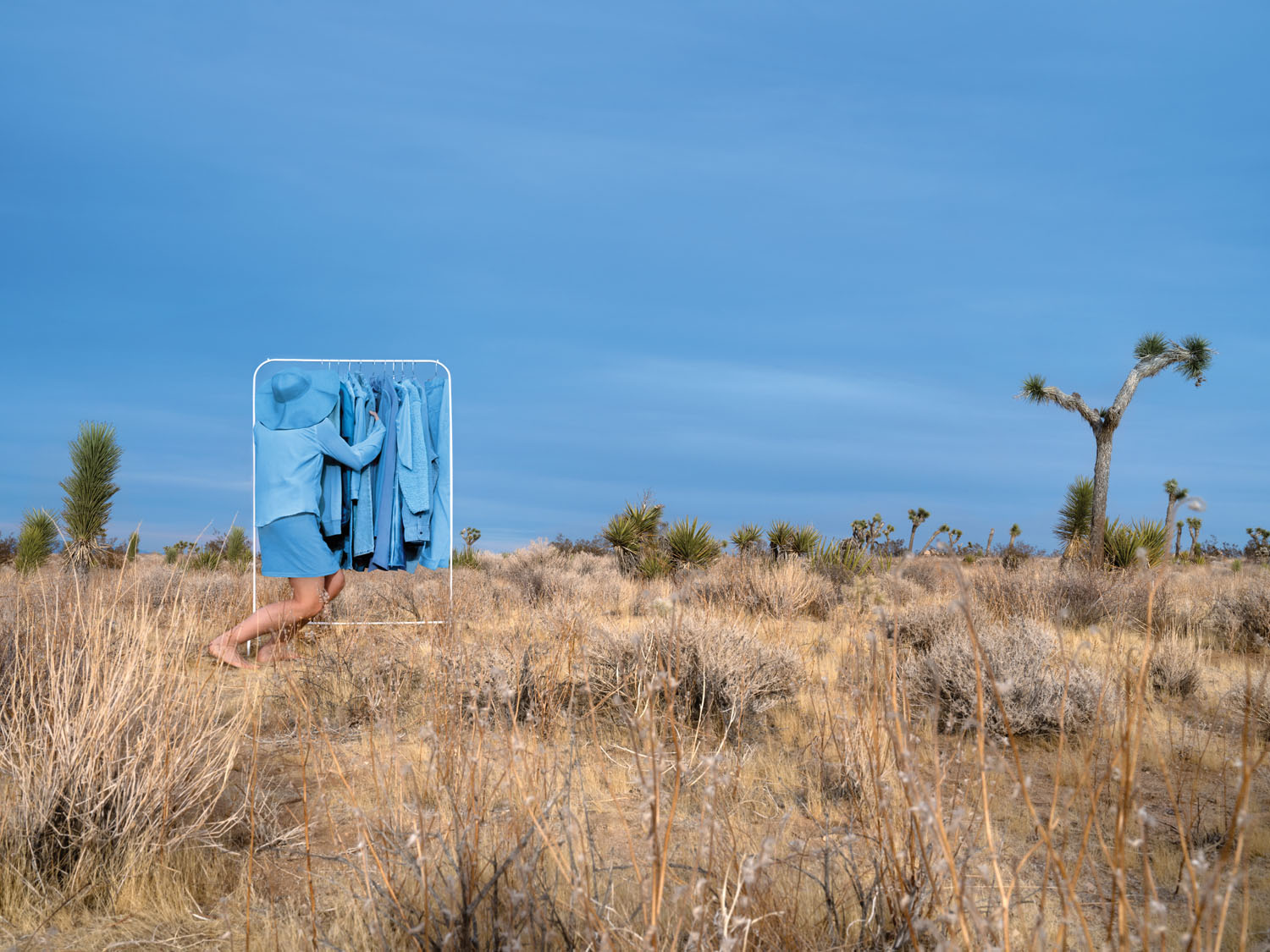 Blue Collection. Joshua Tree, CA, 2019.