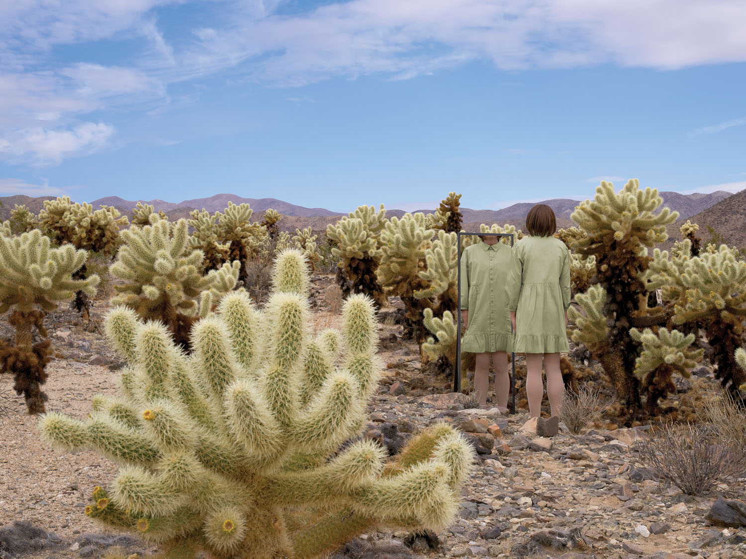 Cholla Garden. Joshua Tree, CA, 2022.