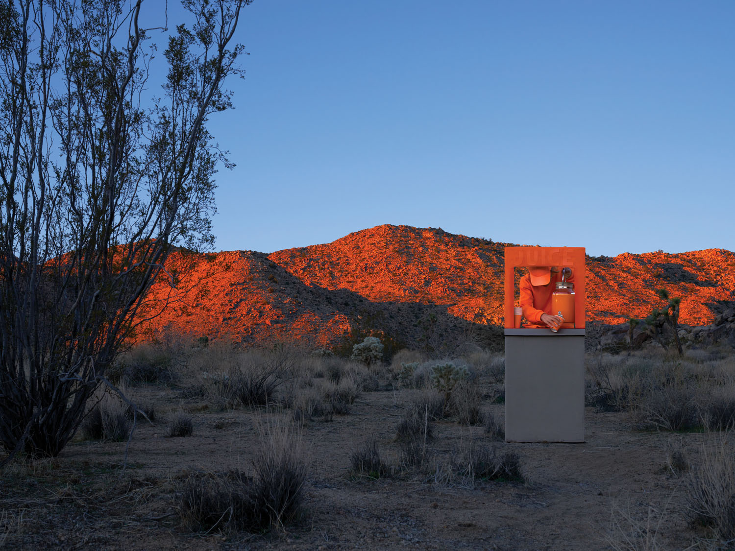 Juice Bar. Joshua Tree, CA, 2022.