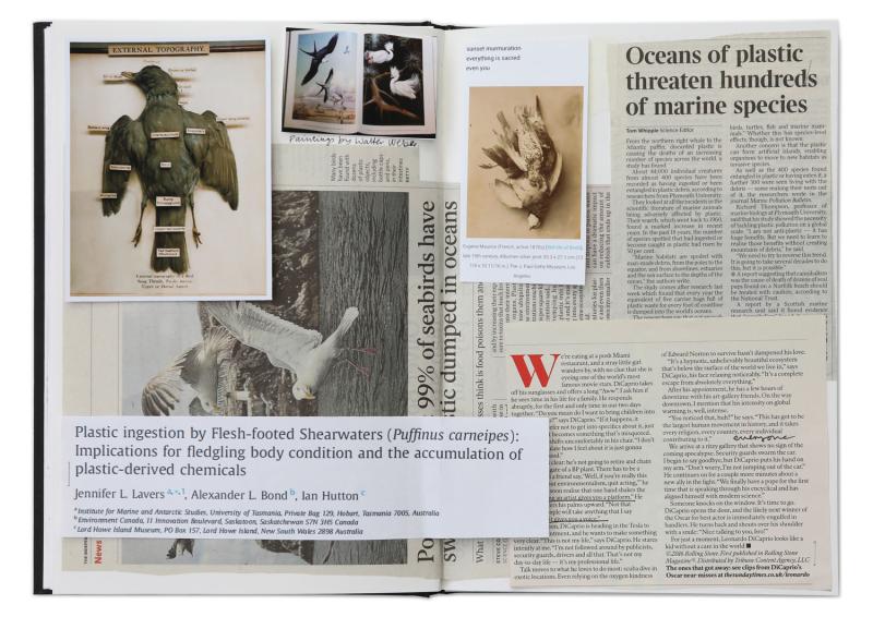 Notebook spread with collage of newspaper clippings on shearwaters.