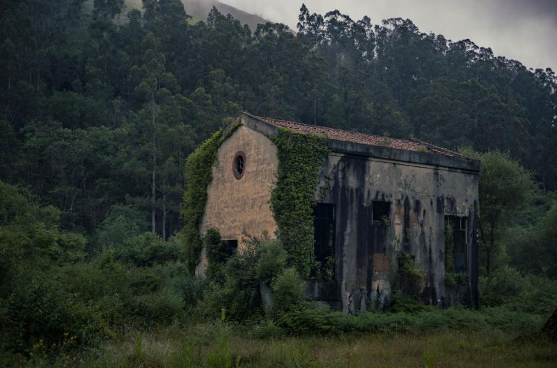 Large, multistory stone structure with ivy growing on it in a lush green landscape