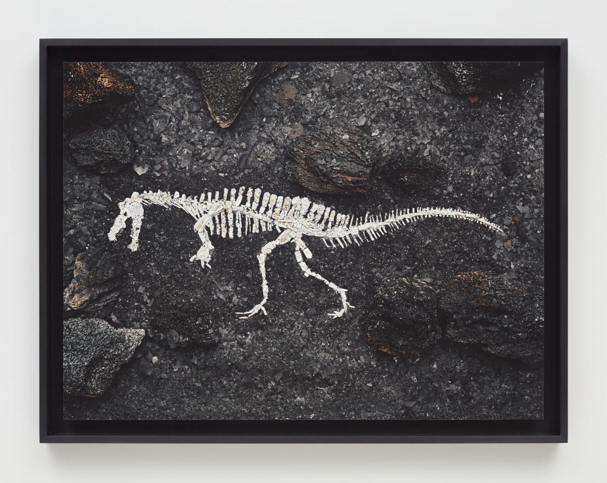 Titanossauro. Archival inkjet print, 30 × 40.25 in.