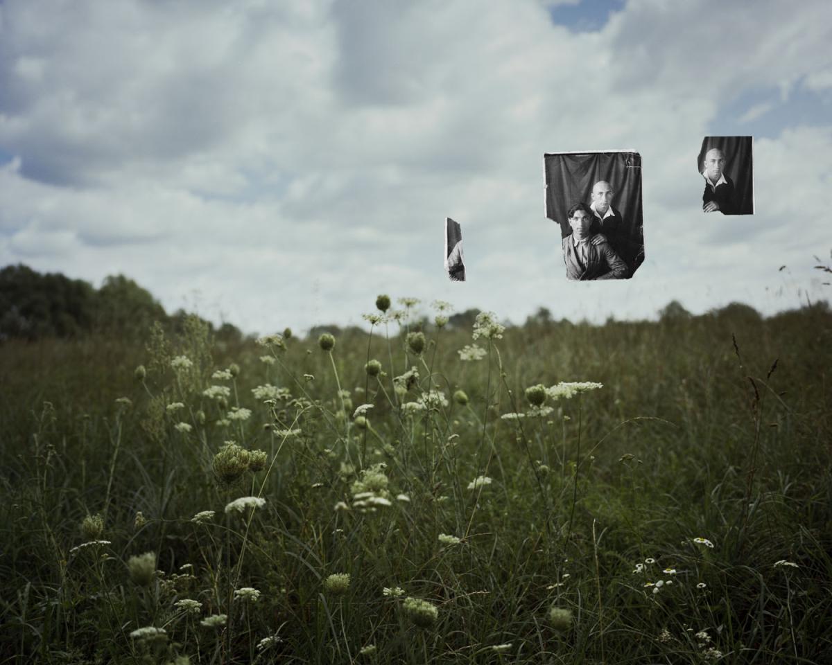 green meadow with white flowers and family portrait of brothers collages on top right