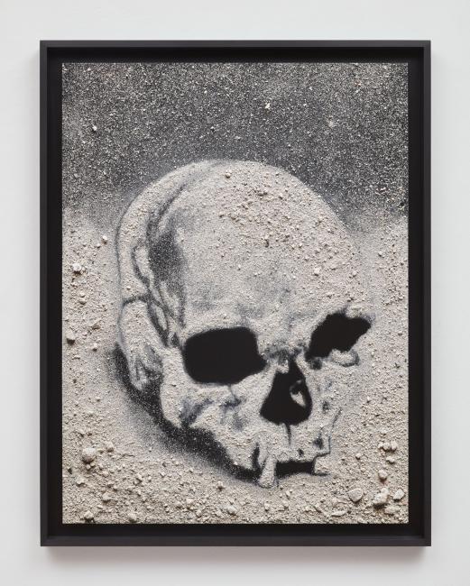 Paleolithic Skull (Luzia), 11,243–11,710 years, Minas Gerais, Brazil. Archival inkjet print, 40 × 30 in.