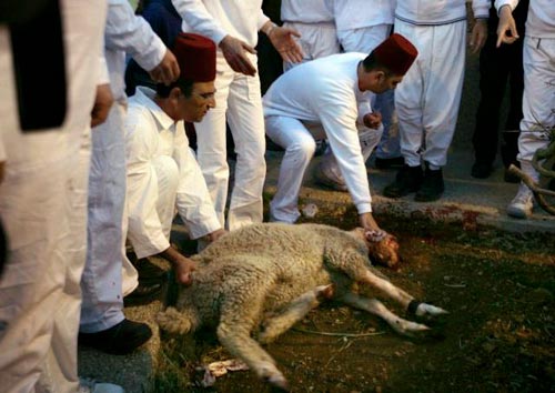 Samaritan men slaughter a sheep during the traditional Passover sacrifice ceremony.
