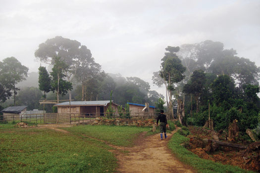 Mining and Processing Congo's regional outpost near Bisie