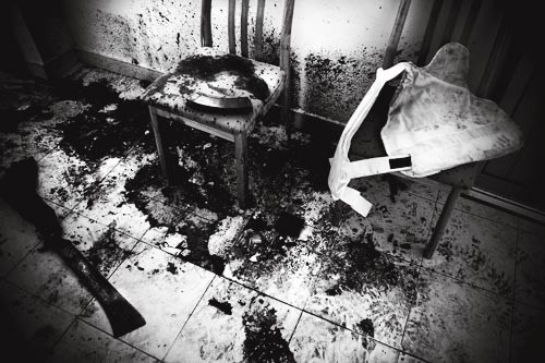 A grisly scene, rendered in black and white, shows where the president was assassinated. The floor is puddled with dried blood, which is also spattered on the walls. It's centered on a chair, on which a banana clip of ammunition rests. A bulletproof vest rests on the adjacent chair. On the floor lies a blood-encrusted machete.