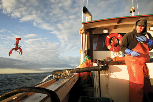 Sea sampler Kathleen Reardon aboard the Khristy Michelle in the East Penobscot Bay.