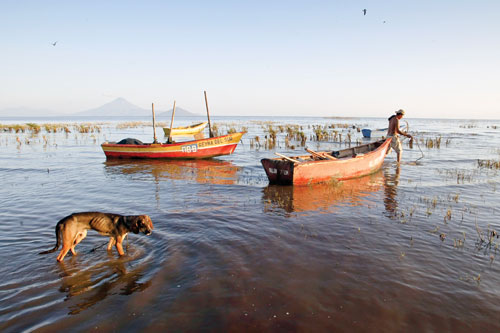 Nicaraguan ichthyologist Lorenzo López reports finding numerous fish with defects in Lake Xolotlán, but some local residents still eat their catch from the poisoned waters.