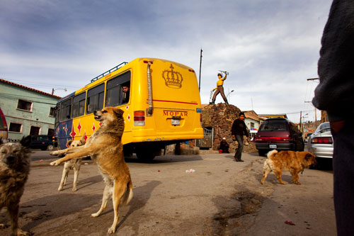 Dogs and men near parked vehicles in the Minder's Plaza at Potosi.