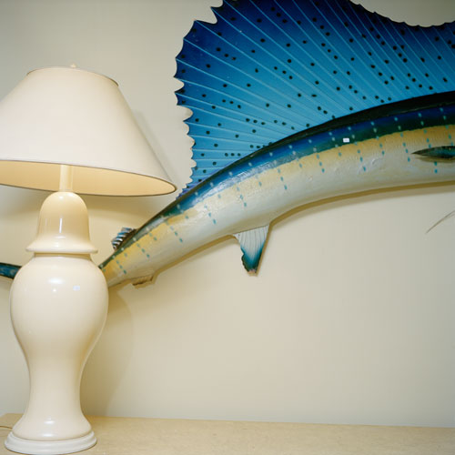 A close-cropped shot of a bright blue swordfish mounted on a wall near an ivory-colored table lamp.