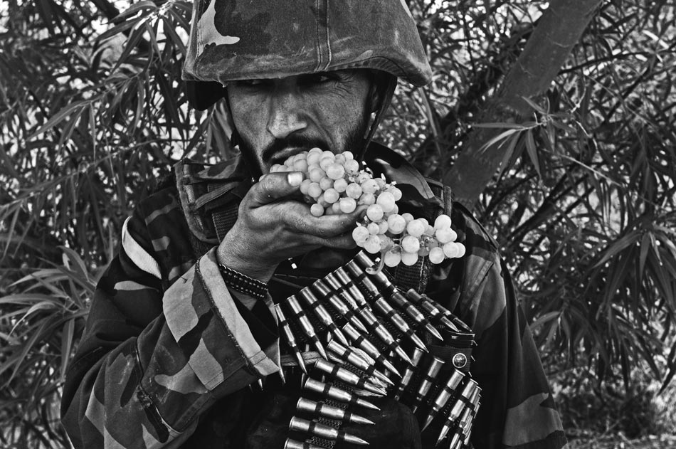 An Afghan National Army soldier eats a cluster of grapes.