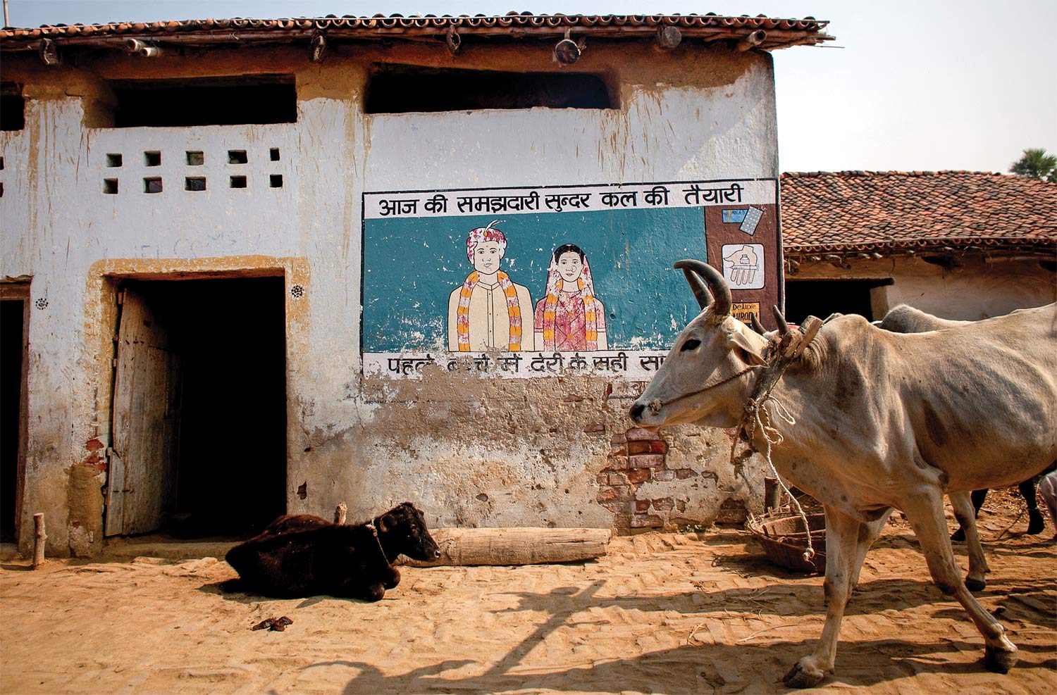 A Pathfinder mural advertising the benefits of family planning and reproductive health, in the village of Kazarshoth, 2013.