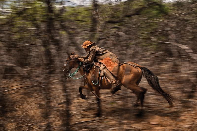 Feitosa in the backcountry. Artisans known as seleiros made the leather gear he wears from head to toe to protect him from the brush.