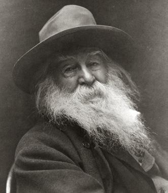 Vintage Photo from 1881 Walt Whitman Photograph 