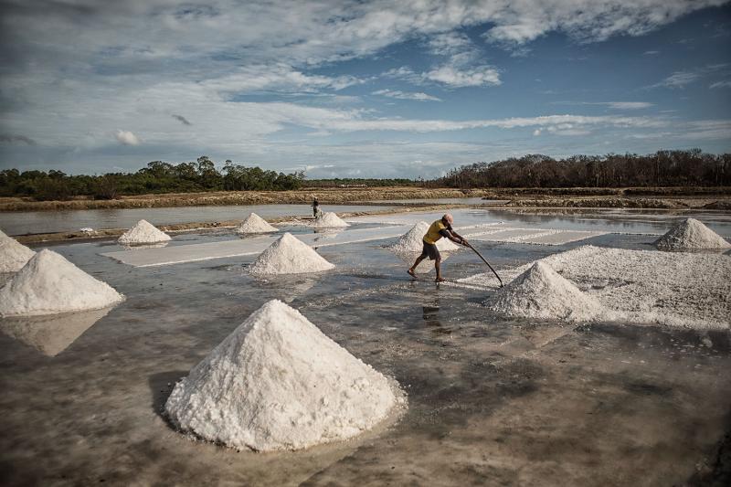 Artisanal-salt producers have been replaced, for the most part, by a mechanized process. The job is physically demanding and involves long days in the sun, with little protection from the salt’s corrosive effects on the skin. A salt worker typically earns the equivalent of 30 cents per wheelbarrow of salt.