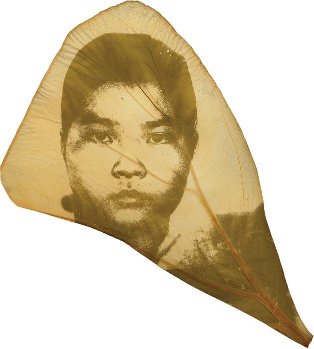 Binh Danh, <i>The Botany of Tuol Seng #14</i>. Photographic negative on leaf.