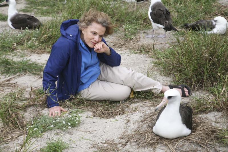 Earle with the Laysan albatross, Wisdom, 2012. (Susan Middleton)